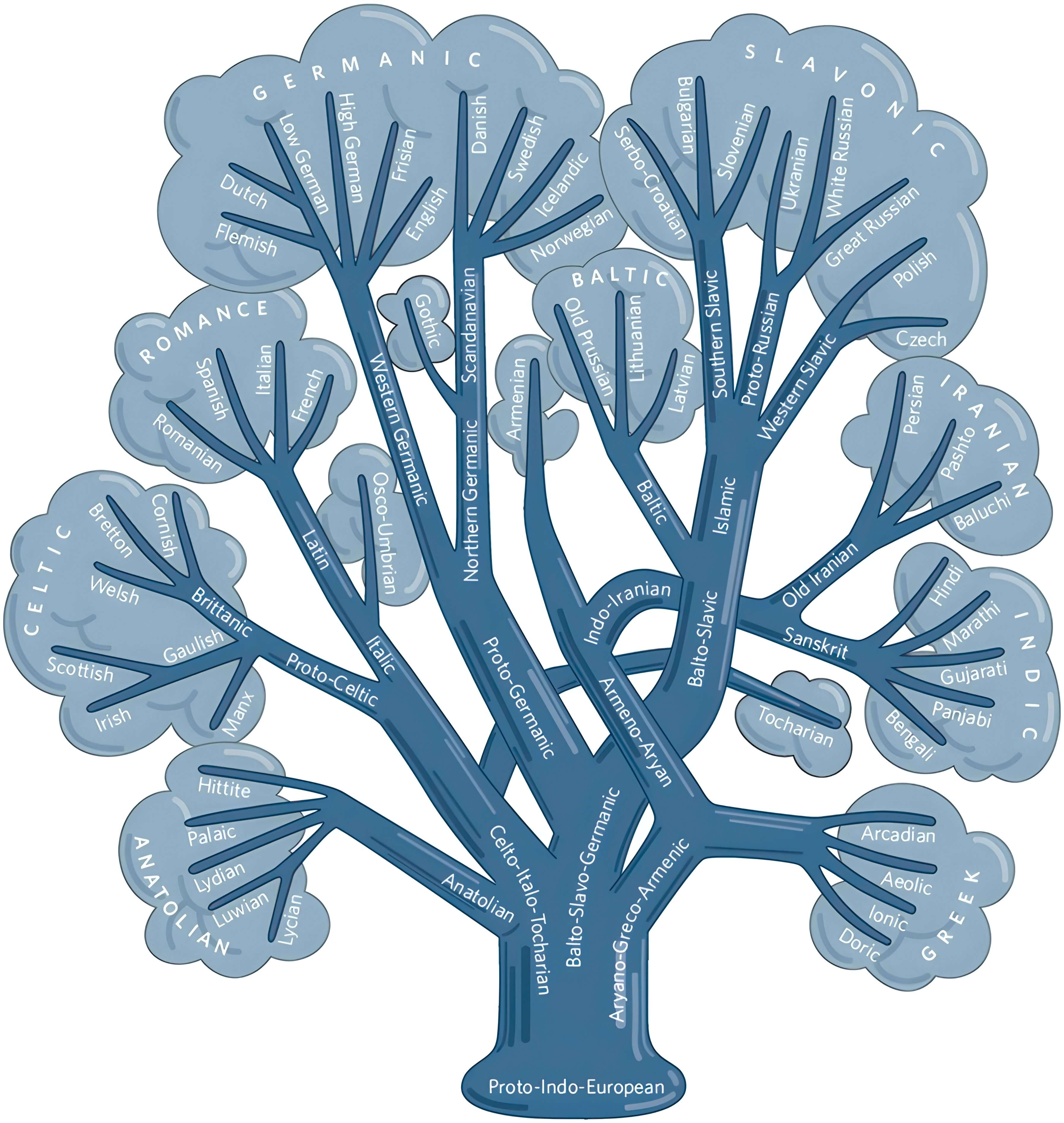 language-tree